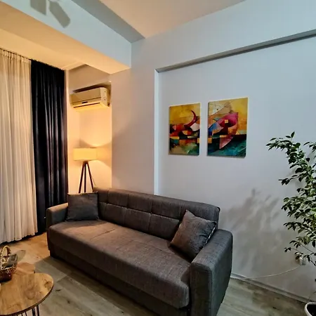 Cozy Downtown Apartment *